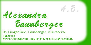 alexandra baumberger business card